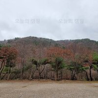 용현자연휴양림 야영장