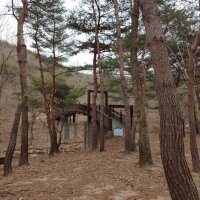 용현자연휴양림 야영장