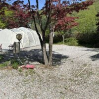 산야초 자연 캠핑장