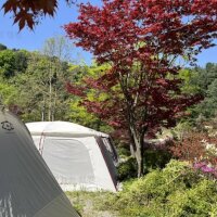 산야초 자연 캠핑장