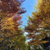 [더설렘글램핑] 가을 할로윈에 가기좋은 포천 글램핑 포천카라반