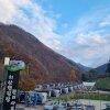 치산 관광지 캠핑장. 치산마을 느티나무 - 2022년 11월 12일