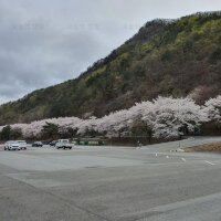 산꽃벚꽃마을 오토캠핑장