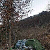 청량산 나무네 숲 캠핑