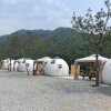 홍천강 뷰가 멋진 소노카페 오토캠핑(홍천 소노오토캠핑장)
