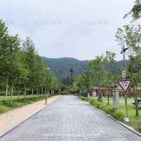 홍천강 오토캠핑장