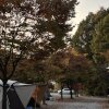 [캠핑로그 No.1] 속리산사계절캠핑장 | 가을캠핑 | 단풍캠핑... 