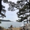 캠린이 가족의 태안 노지캠핑 바다여행파크 캠핑장 후기