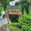 차박캠핑 : 강릉 오토캠핑장 대관령 솔내음 오토캠핑장