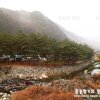 [오지산행] 영월 선달산~어래산, 내리계곡 심산유곡 트래킹