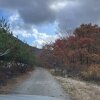 강원도/평창]단풍과 함께한 첫 가을 캠핑_리프레쉬 캠핑장