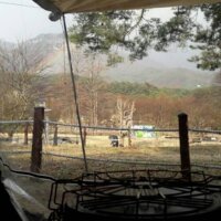용문산관광지 야영장