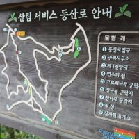 청송자연휴양림 야영장