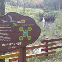 청송자연휴양림 야영장