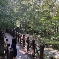성주산자연숲캠핑장