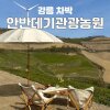 강릉] 안반데기 관광농원 / 별이 쏟아지는 강원도 차박 캠핑