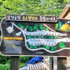 창원캠핑)계곡낀 캠핑장. 달천공원 오토캠핑장
