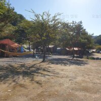 청산 캠프