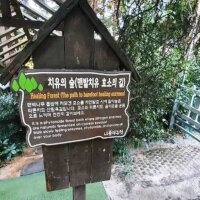 통영 편백숲길 관광농원
