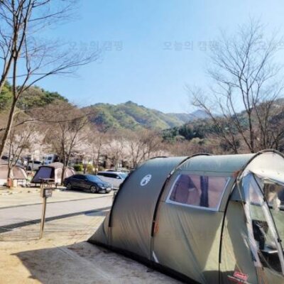 [벚꽃캠핑] 치악산 구룡자동차야영장 재방문 후기