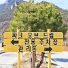 근교 여행 계룡산 감성 글램핑 숙소 공주캠핑장 파크오브드림