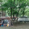 캠핑리뷰= 사천숲속가든-사천여행