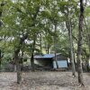 [경남 사천캠핑장] 사천 숲속가든캠핑장 1박2일캠핑